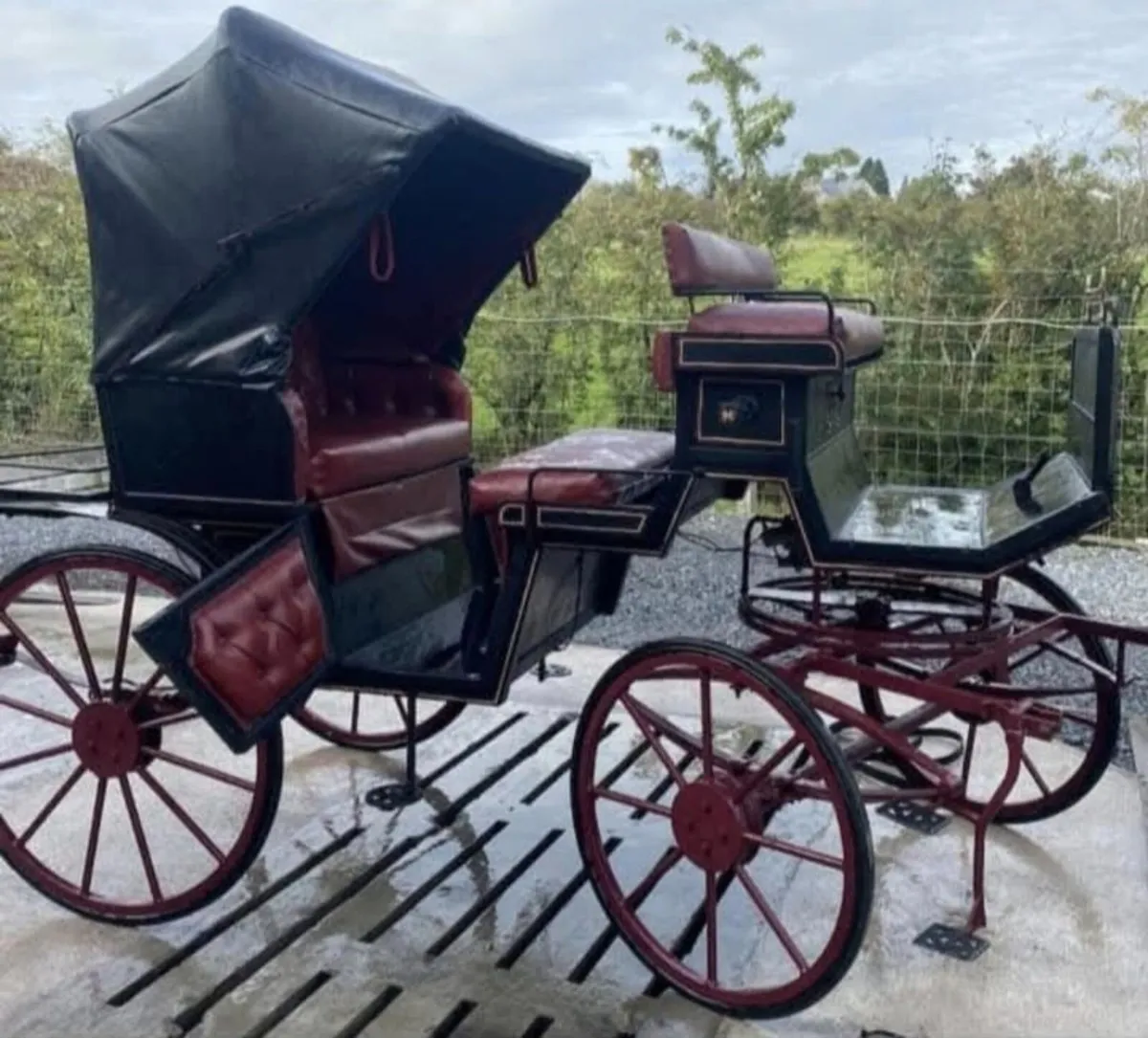 Horse carriages - Image 2