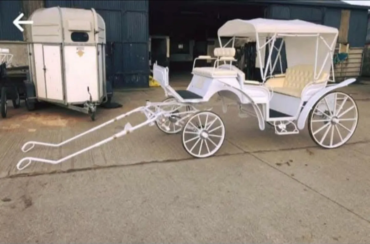 Horse carriages - Image 1