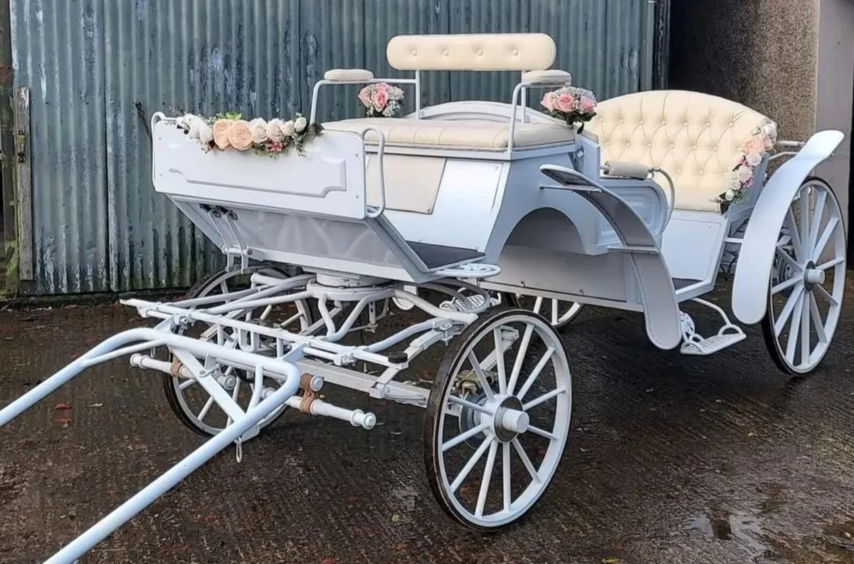 Horse carriages - Image 4