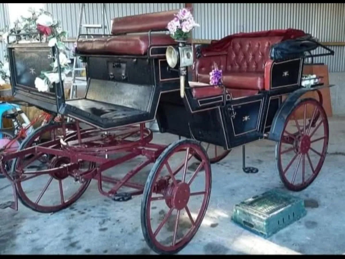 Horse carriages - Image 3