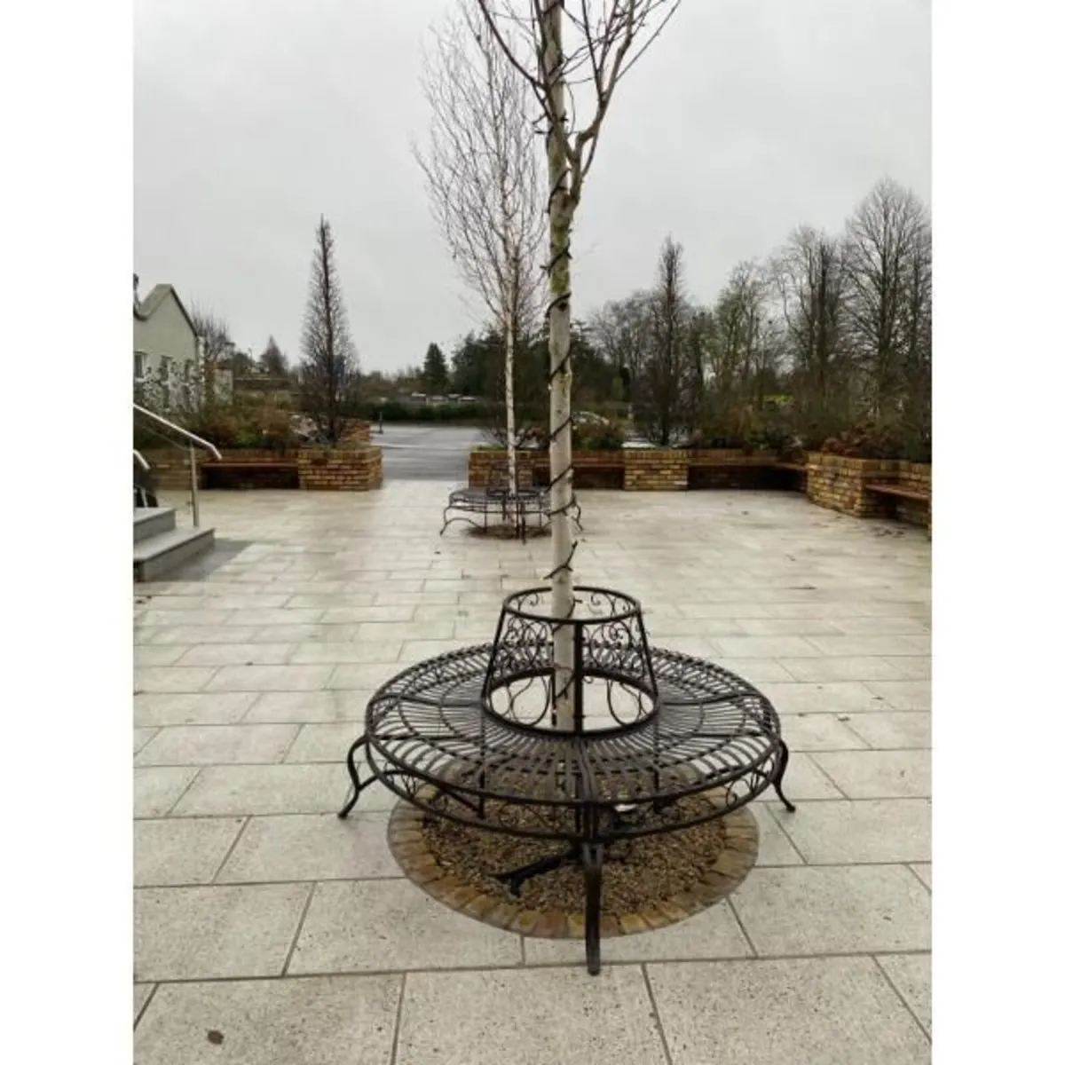 Tree Bench – Grey – D5672 - Image 3