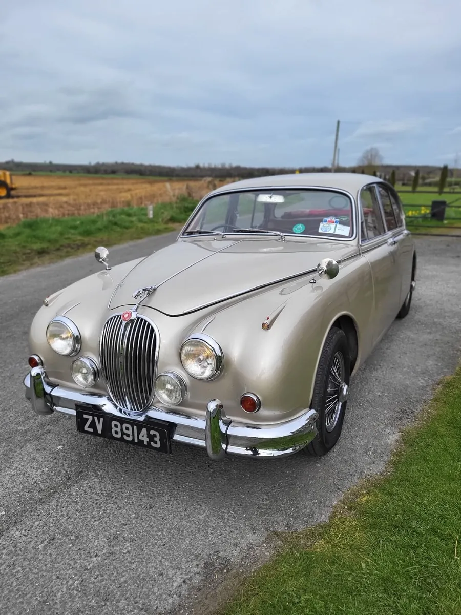 Mk II Jaguar - Image 2