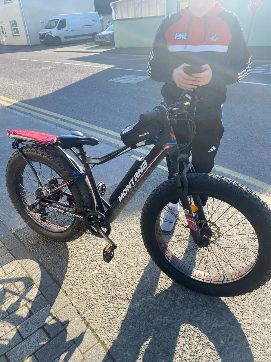 Montana Max Sport, Pedal Assist - Image 1