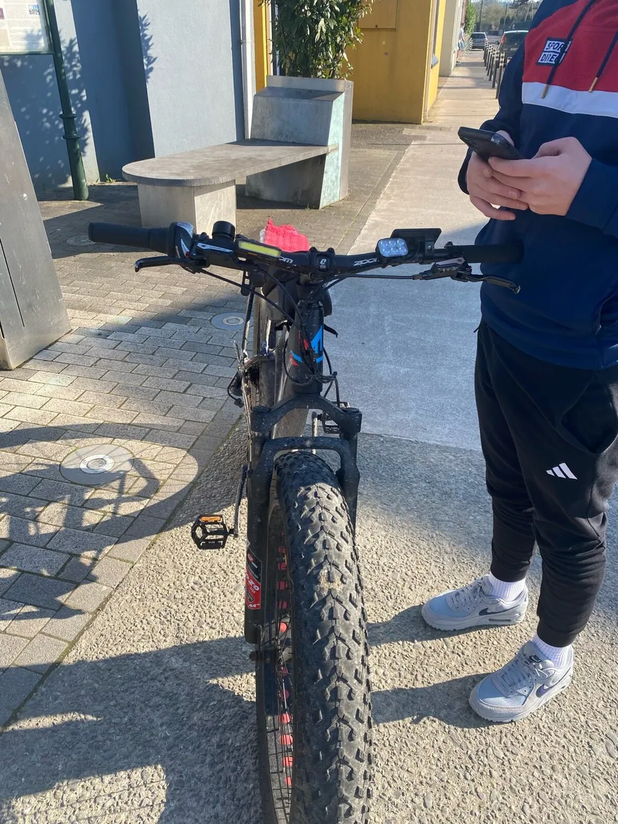 Montana Max Sport, Pedal Assist - Image 2