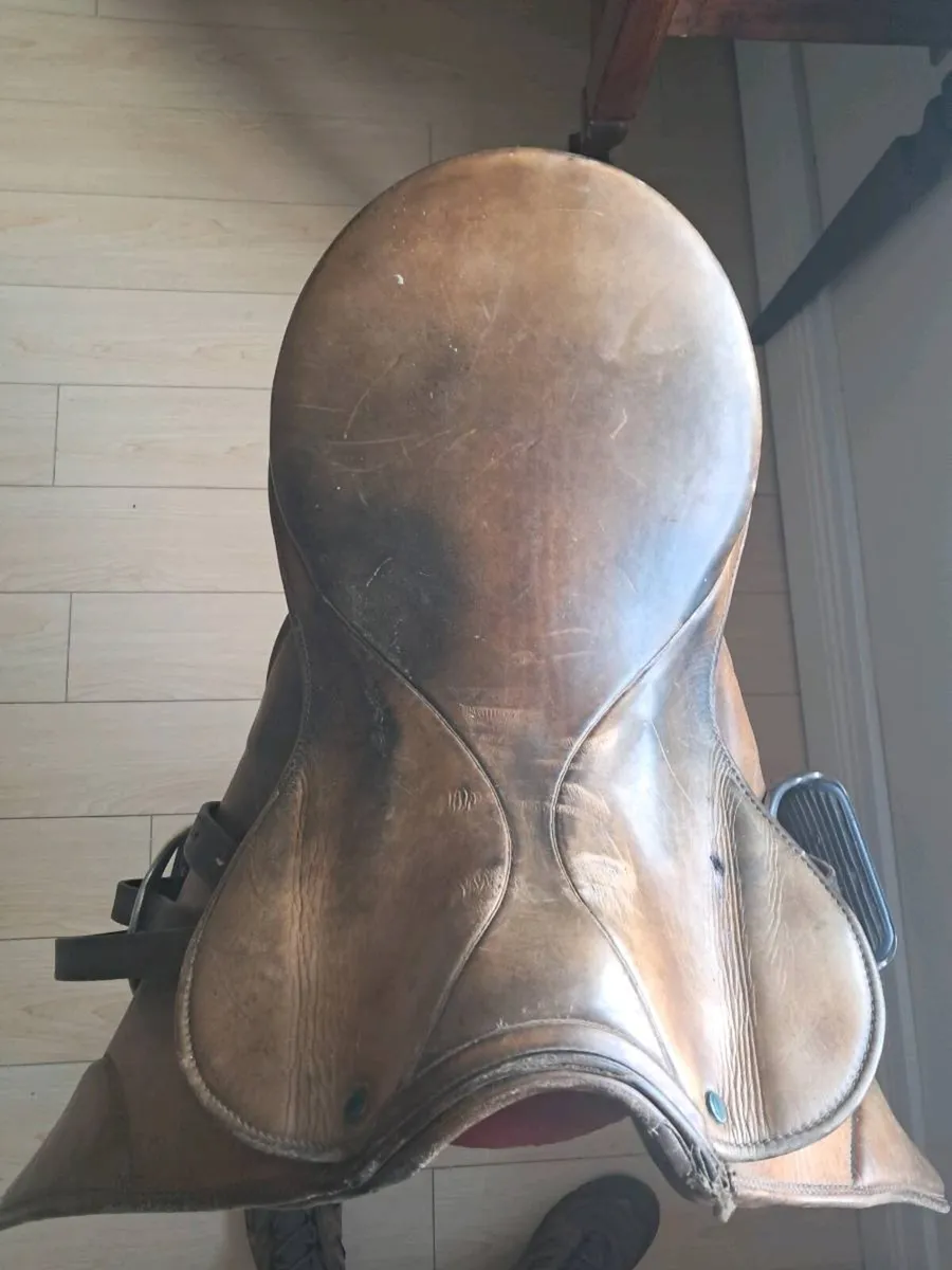 Equestrian saddles - Image 2