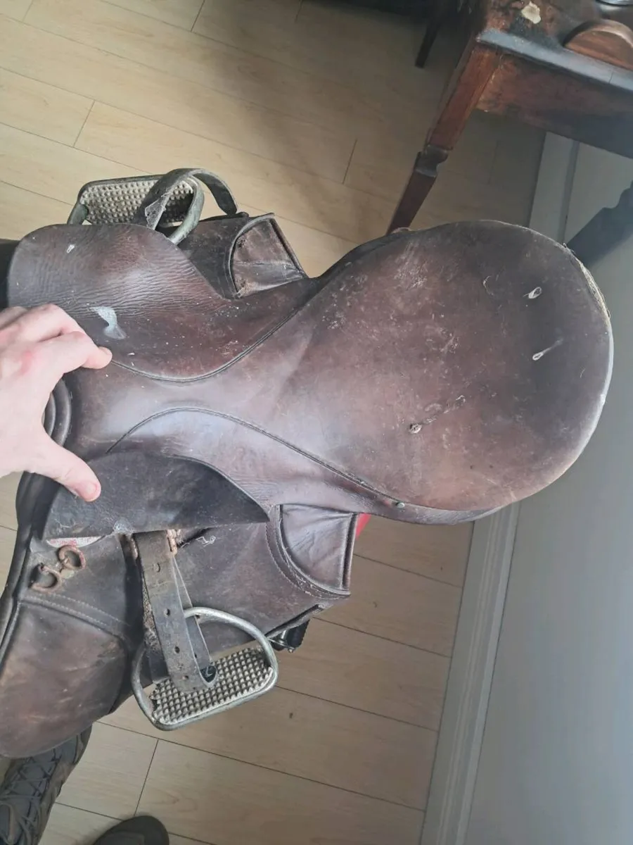Equestrian saddles - Image 3