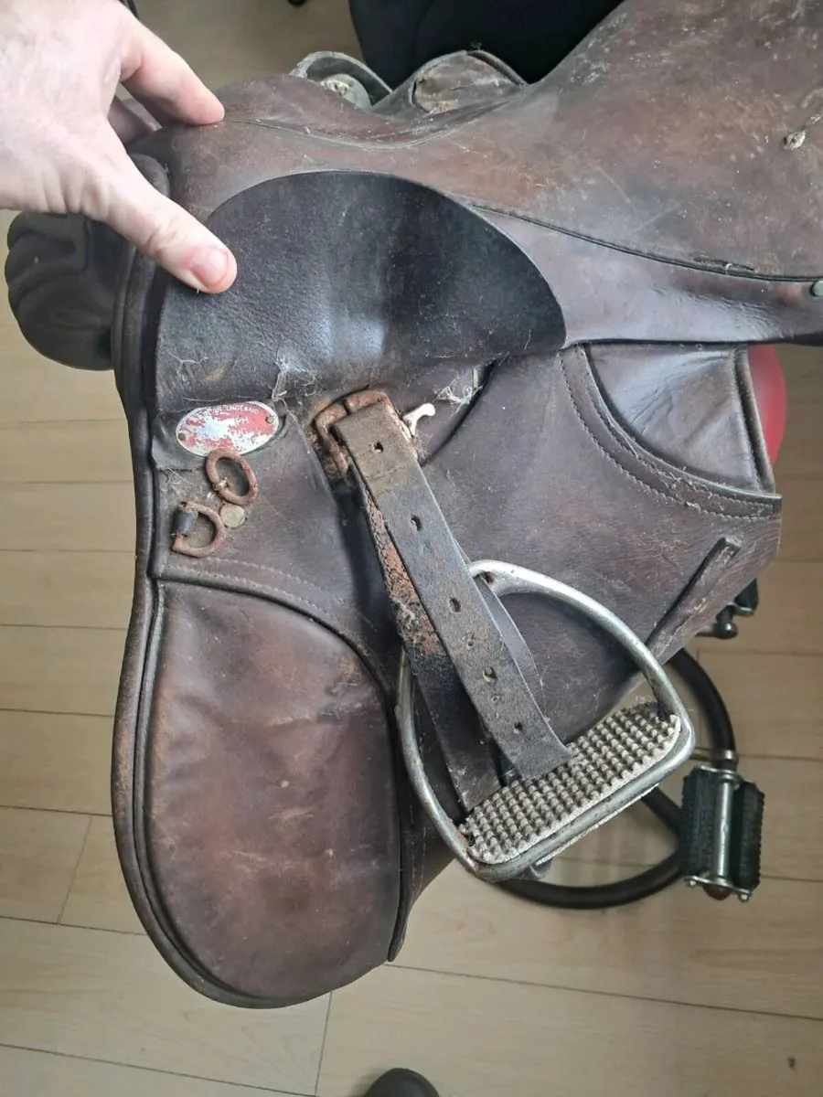 Equestrian saddles - Image 4