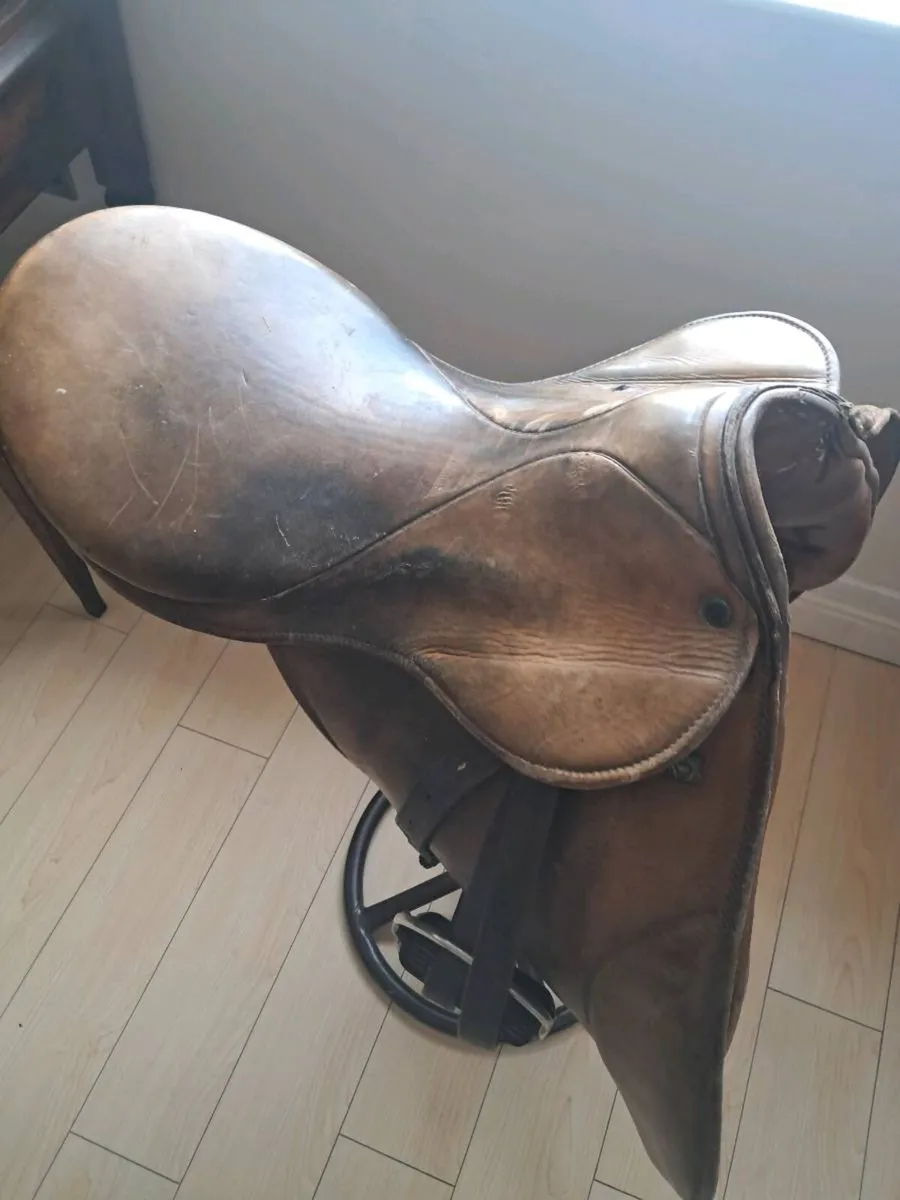 Equestrian saddles - Image 1