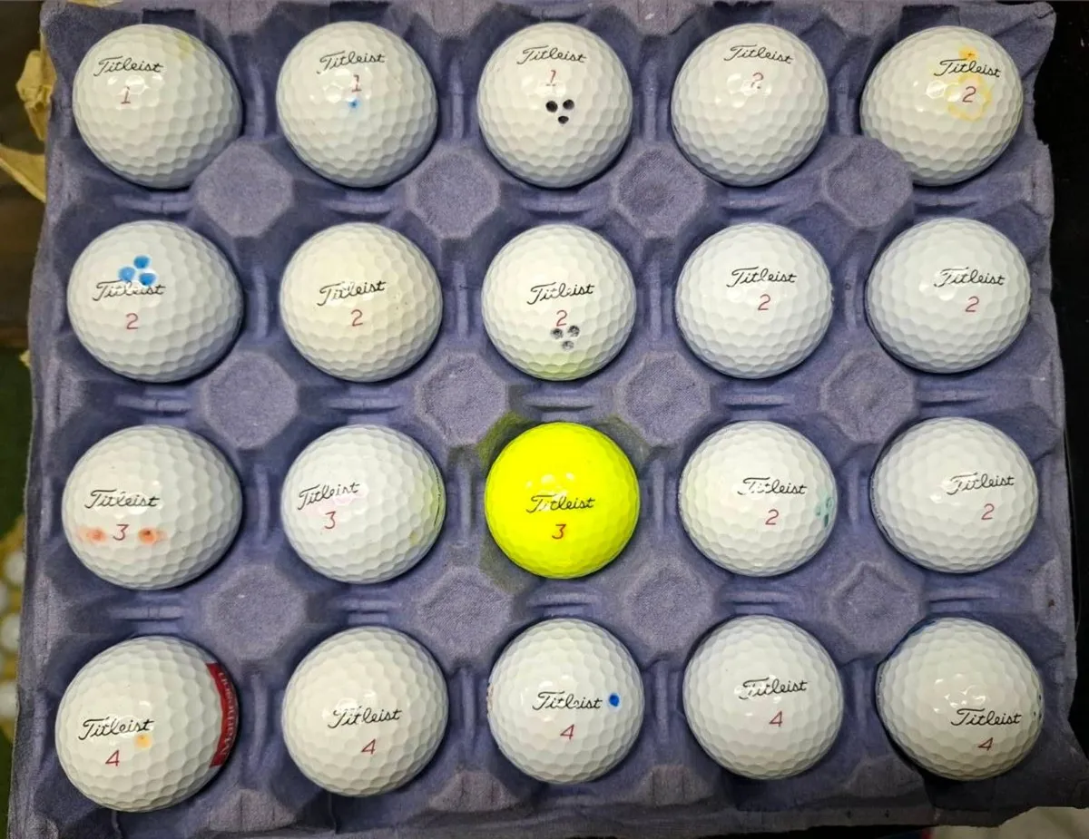 TITLEIST PRO V1 X