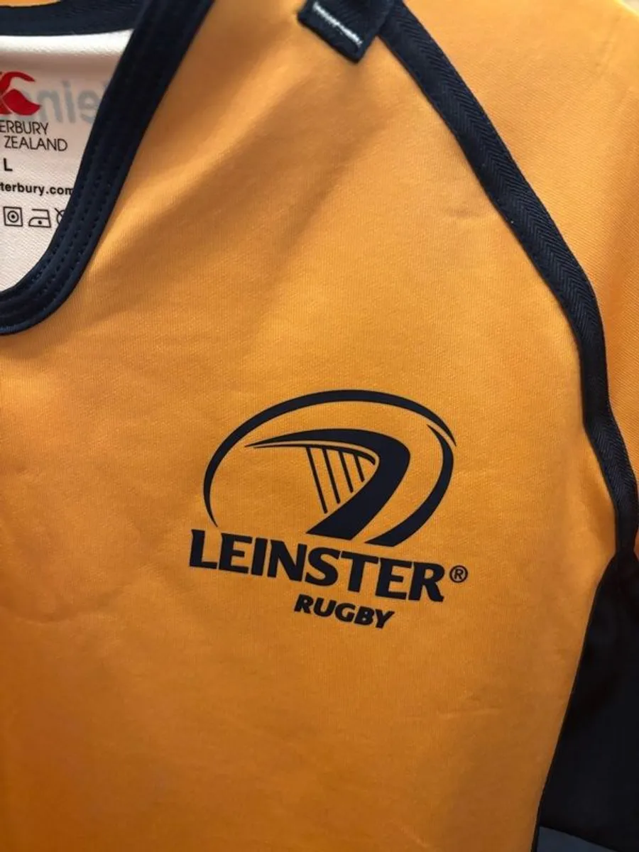 Extremely rare Leinster rugby in-house training jersey - Image 4