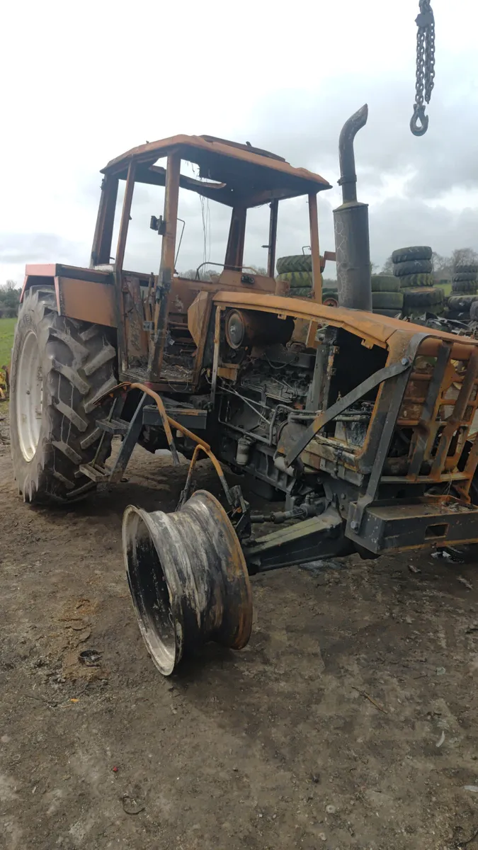 Steyr   Marshall - Image 3