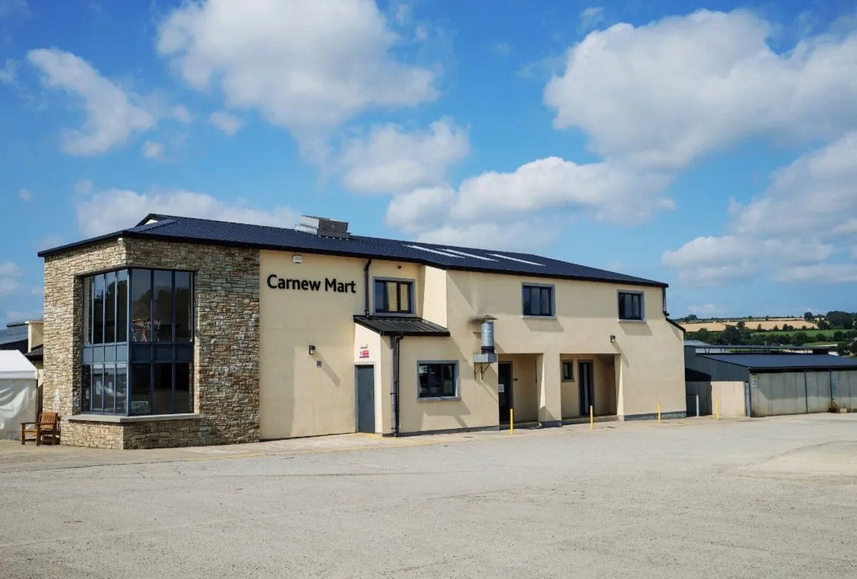 Land to lease in the Barntown/Taghmon area