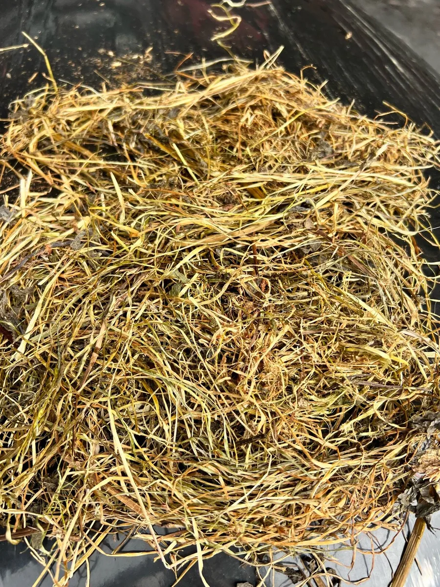 Organic Red Clover Bales & Oats - Image 4