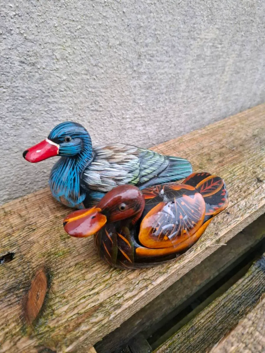 Set of 2 small ducks