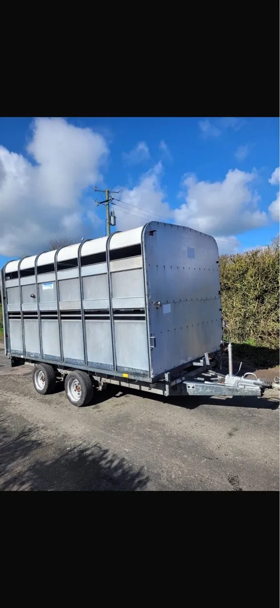 Iforwilliams cattle trailer - Image 2