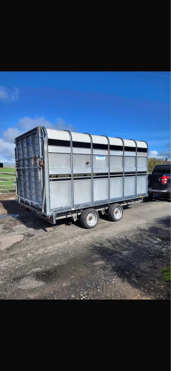 Iforwilliams cattle trailer - Image 3