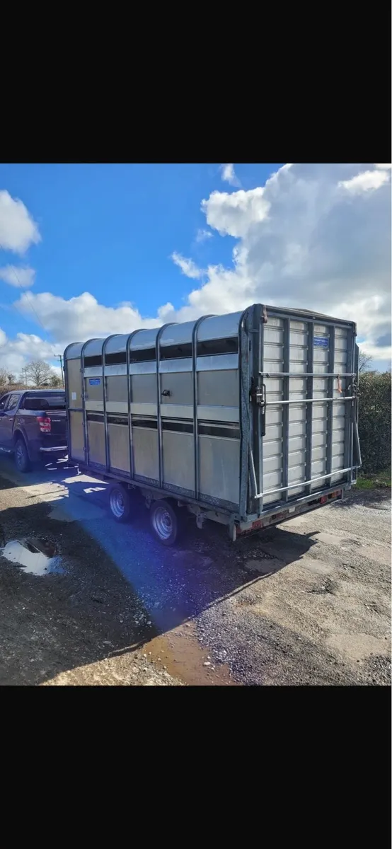 Iforwilliams cattle trailer - Image 4