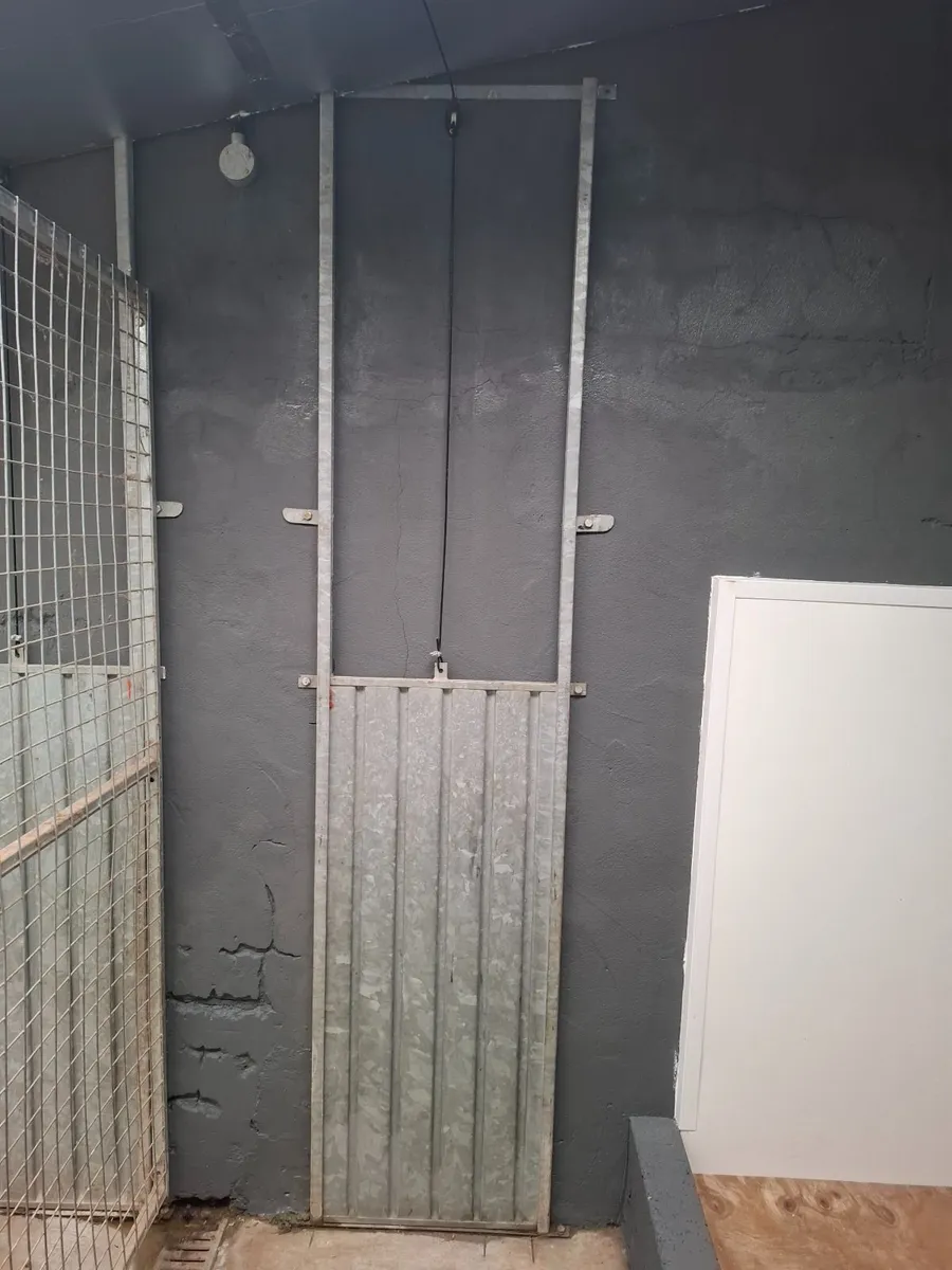 Dog Kennel Hatch Doors