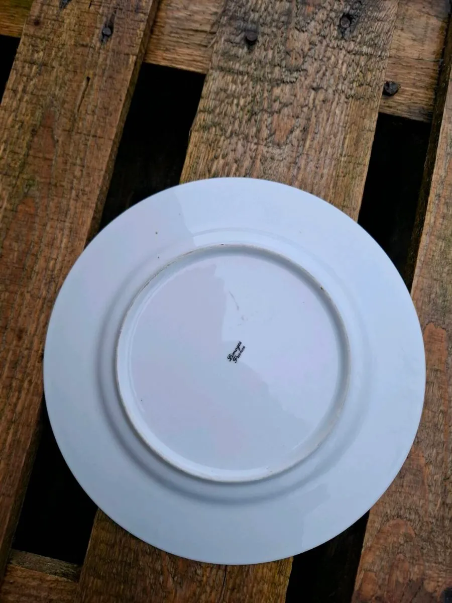 Limoges china plate - Image 2