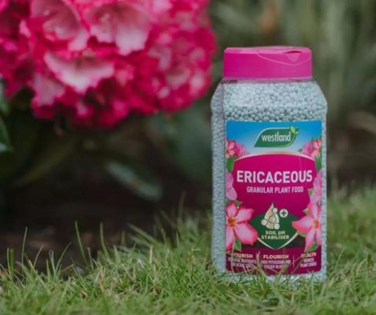 Ericaceous Plant Food Granules Jar - Image 2