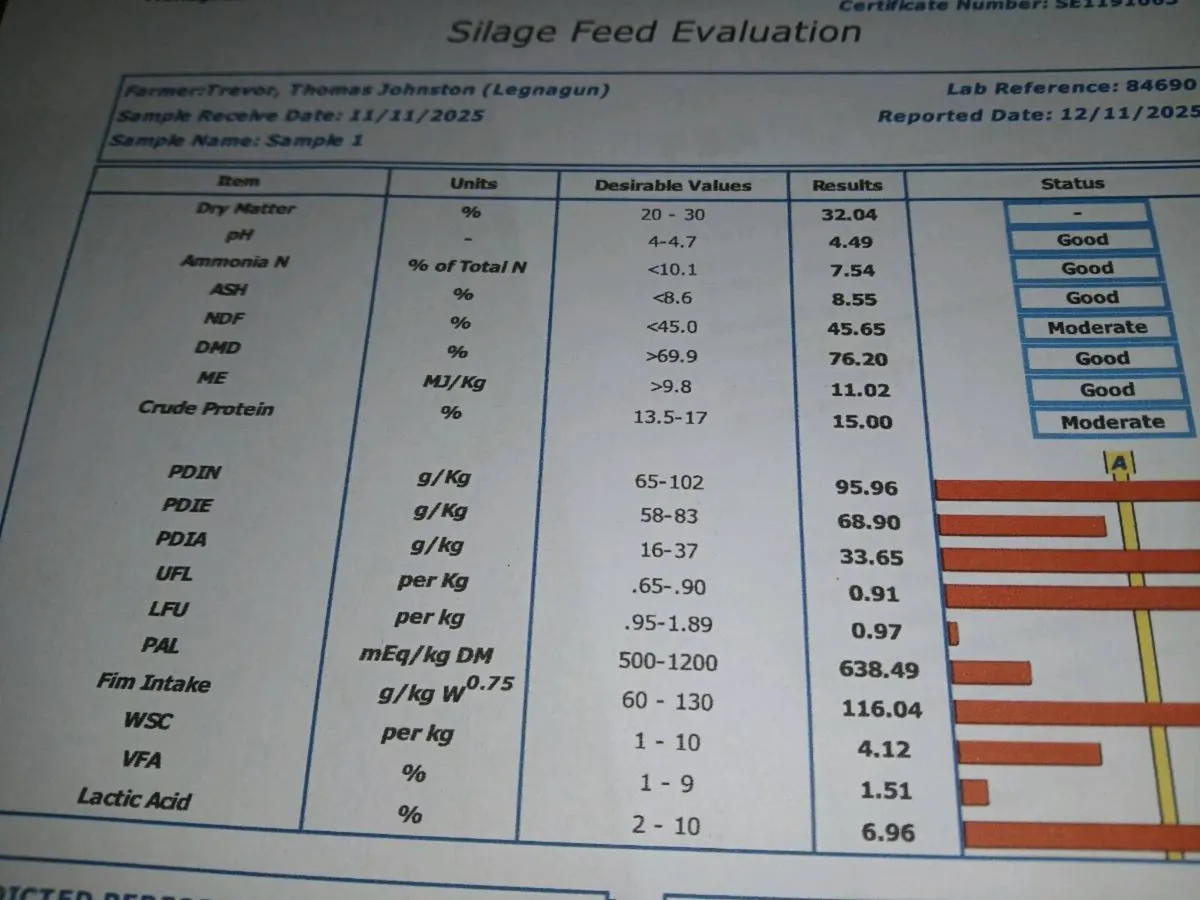 Pit silage - Image 3