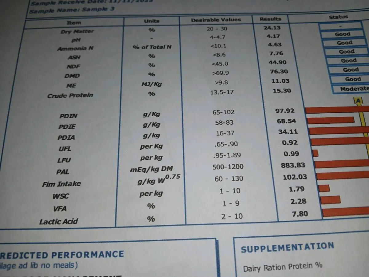 Pit silage - Image 4