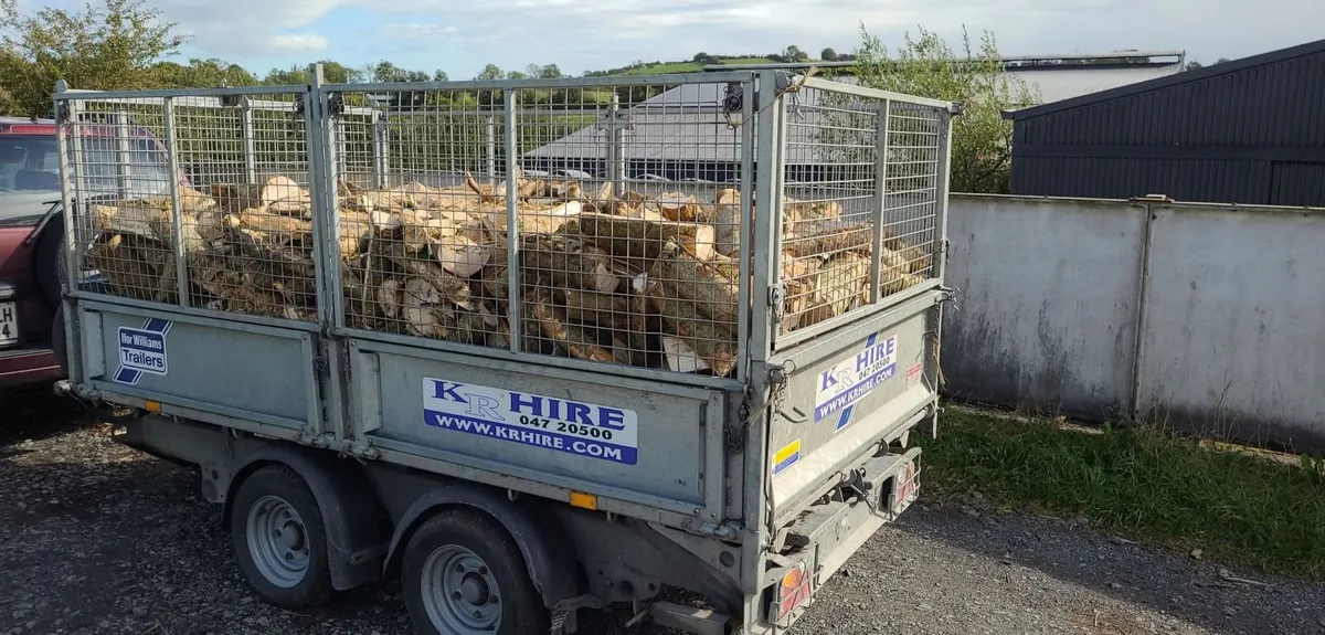 Ash Firewood Hardwood - Image 1