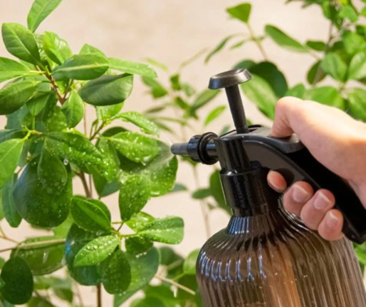 Plant Mister 2.2L - Image 1