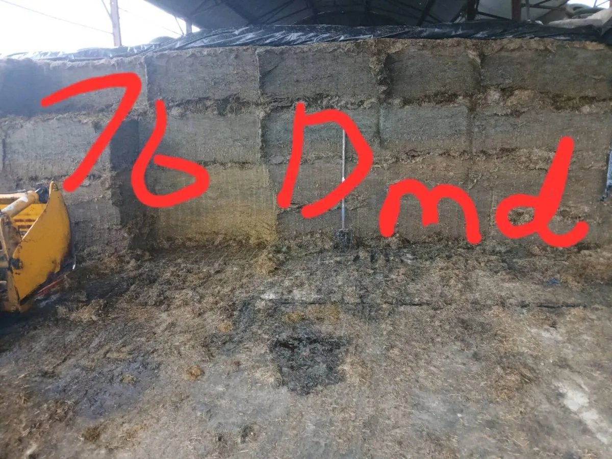 Pit silage - Image 1