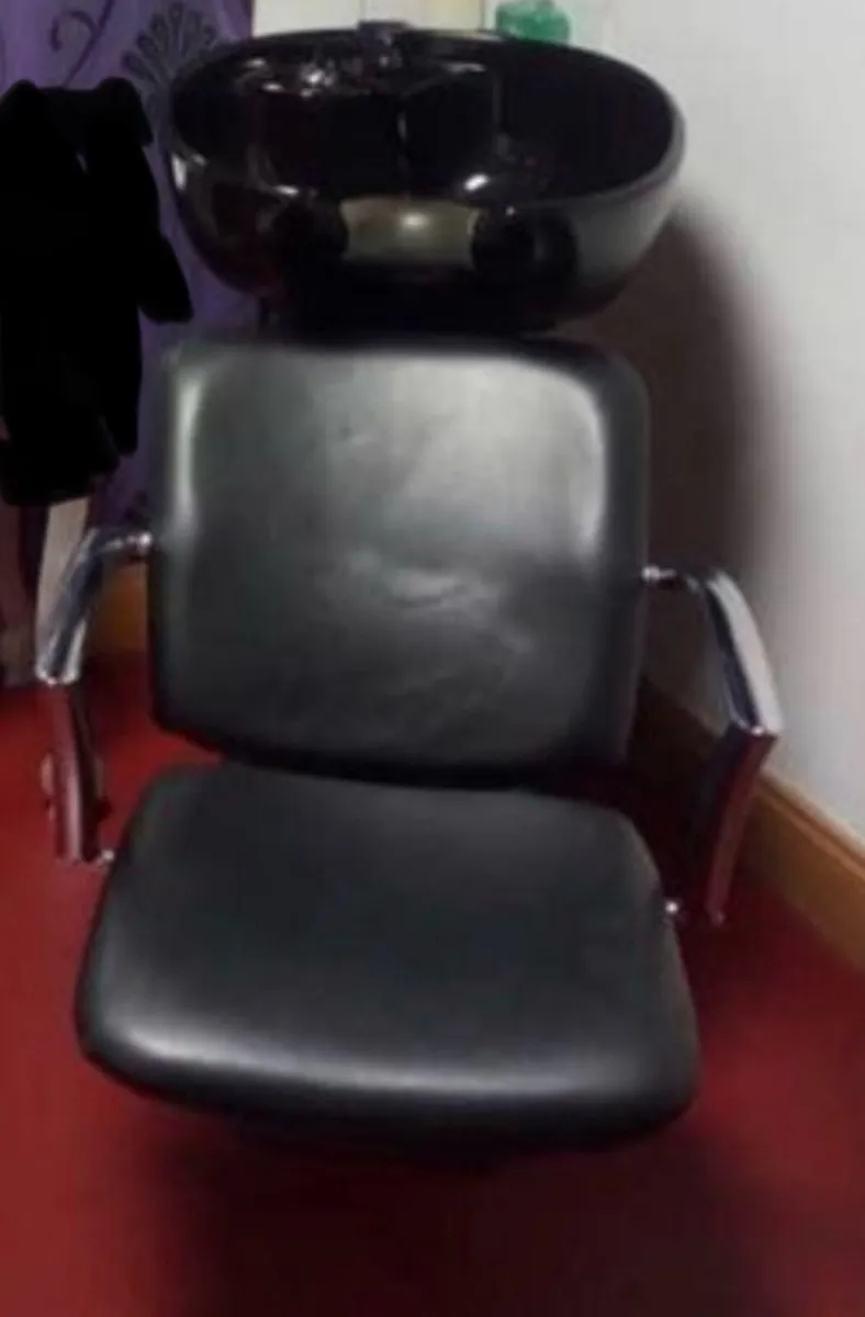 Back wash basin and boiler - Image 1