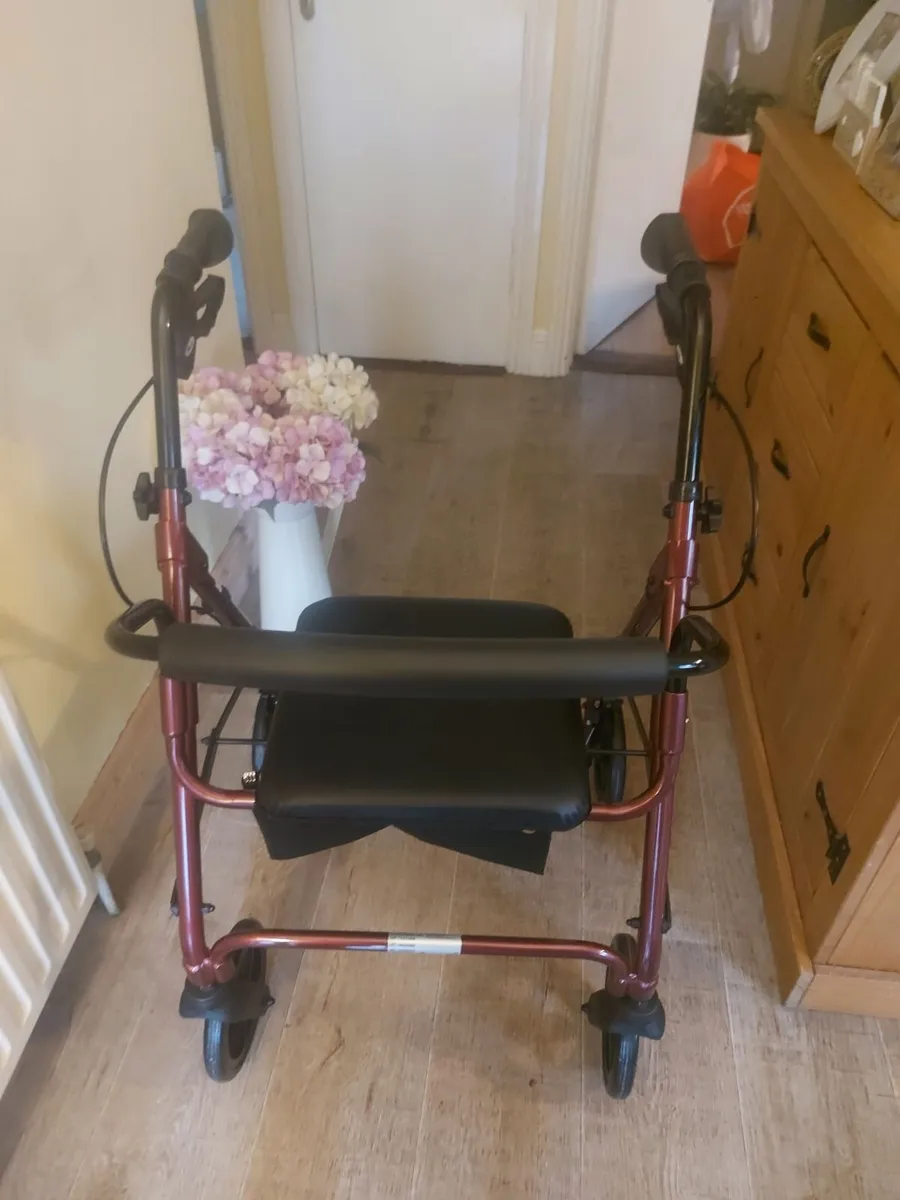 Mobility walker FREE TO TAKE AWAY - Image 1