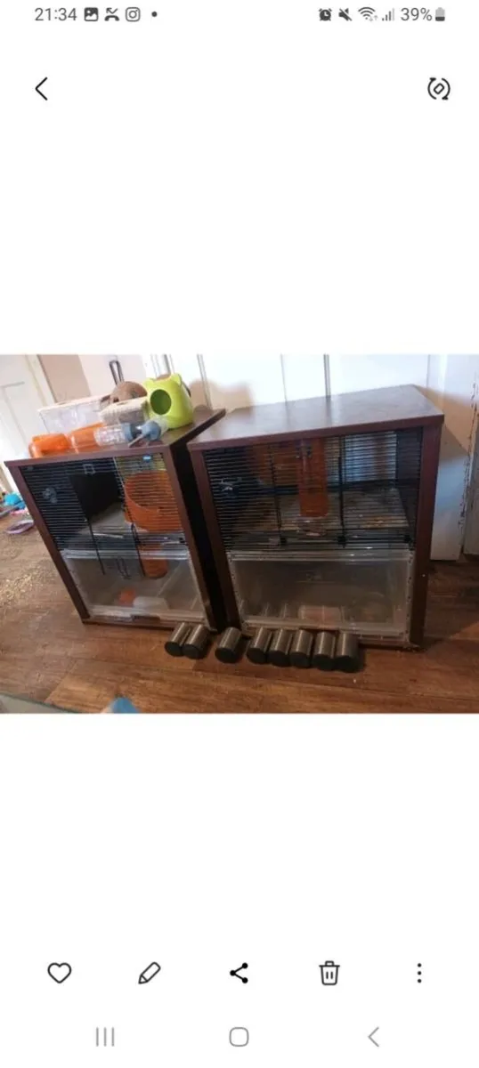 Pet supplies - Image 4