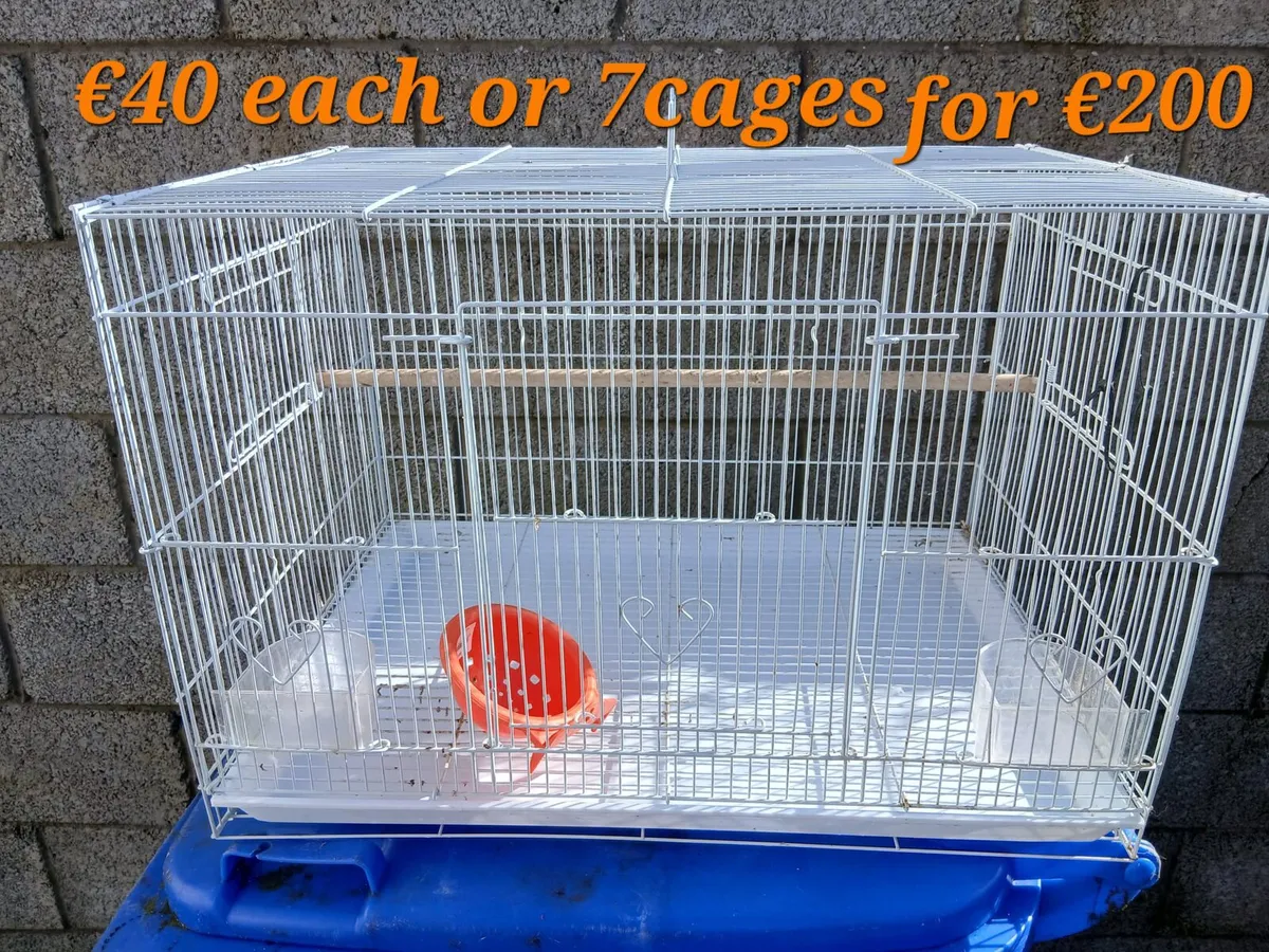 Pet supplies - Image 1