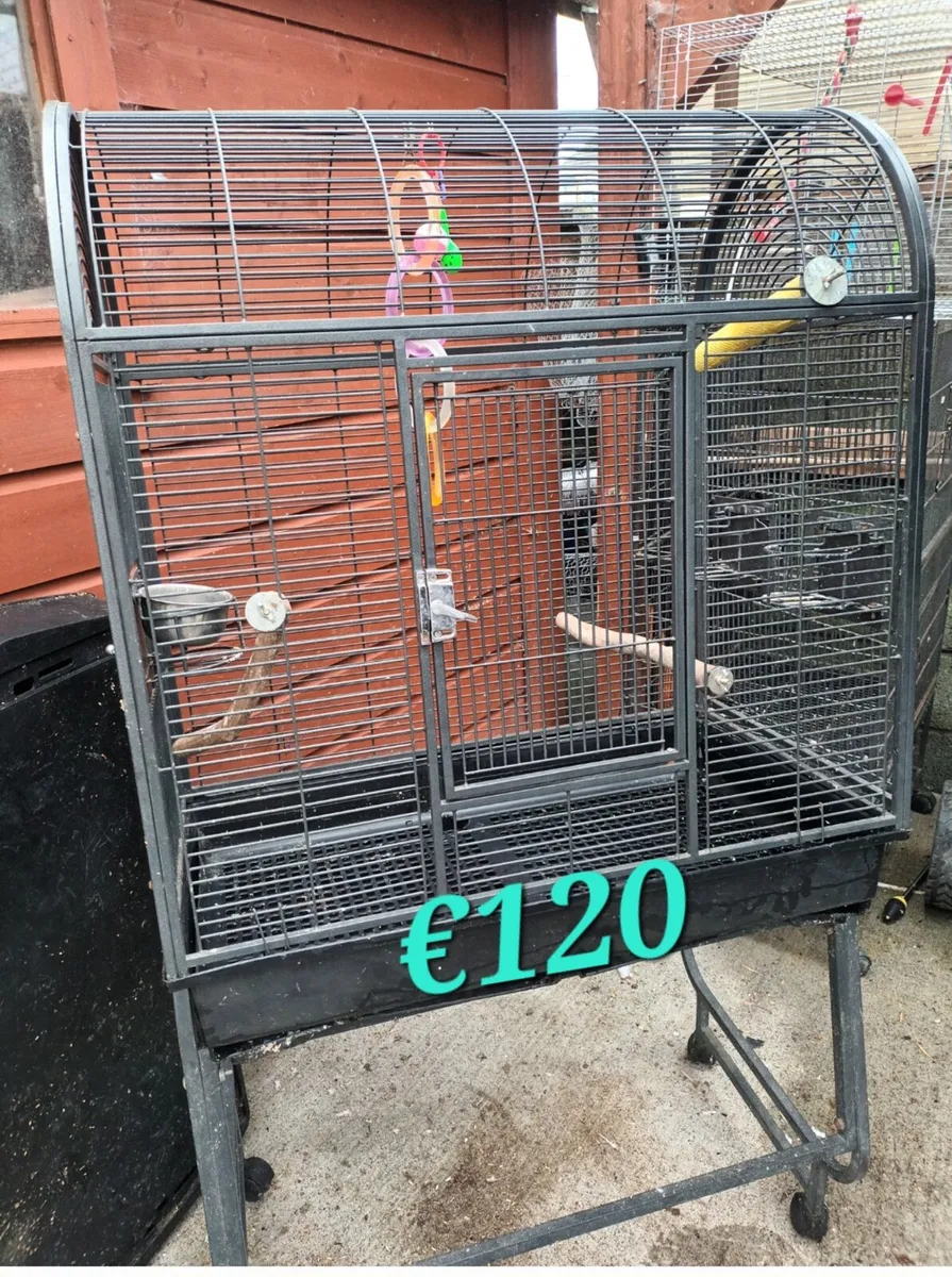 Pet supplies - Image 3