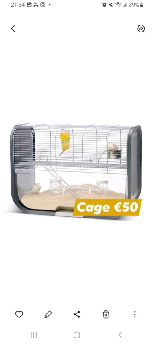 Pet supplies - Image 4