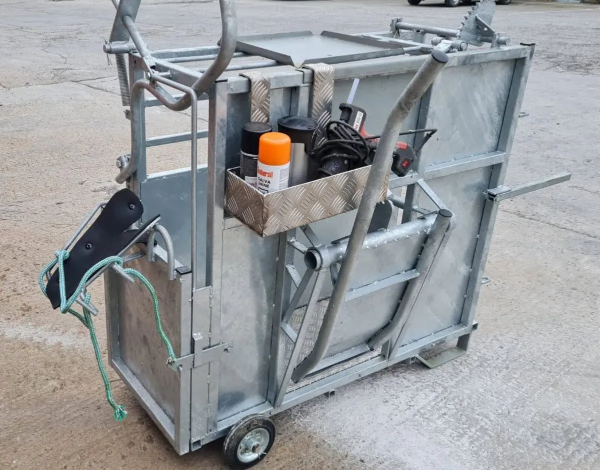 Crate for dehorning - Image 1