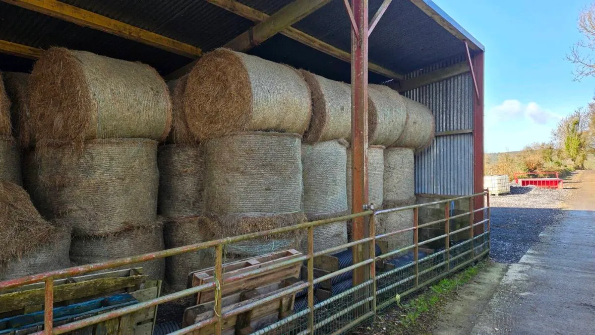 Organic hay - Image 2