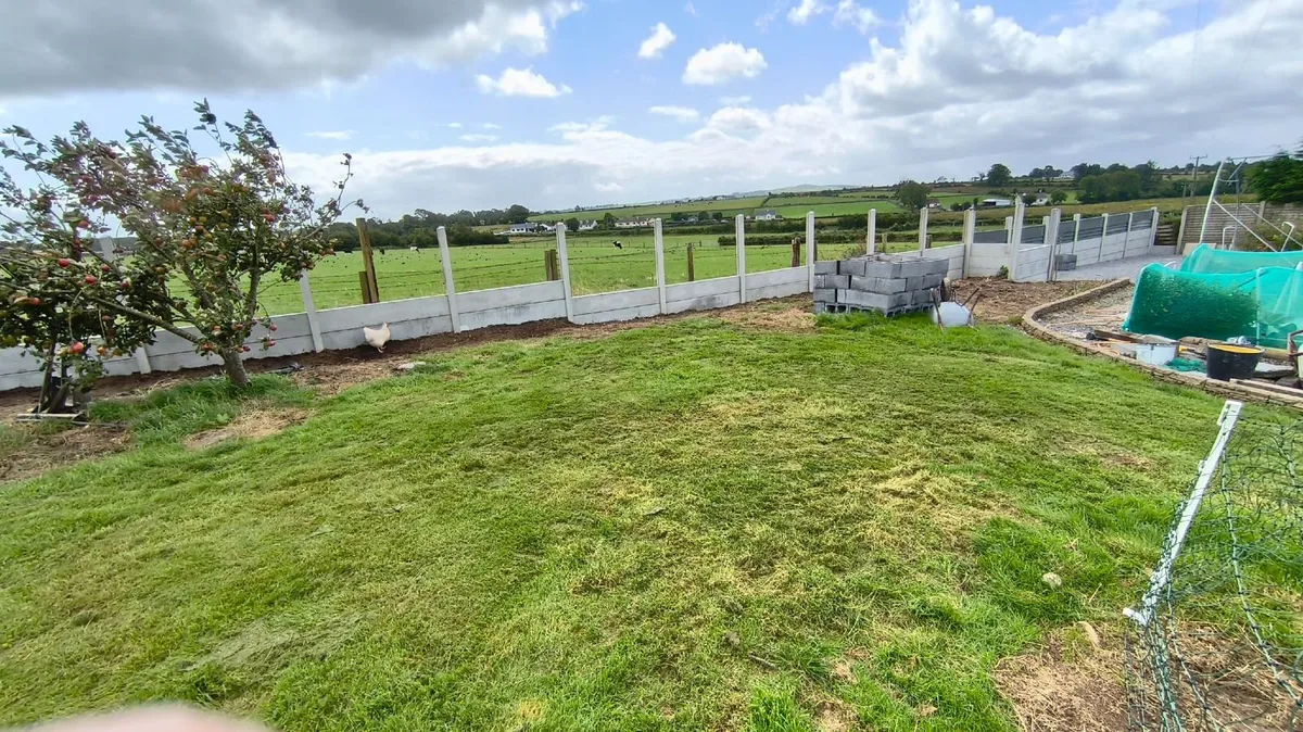 Rippa R10-5 ECO Mini Excavator Digger Auger 1 Ton - Image 3