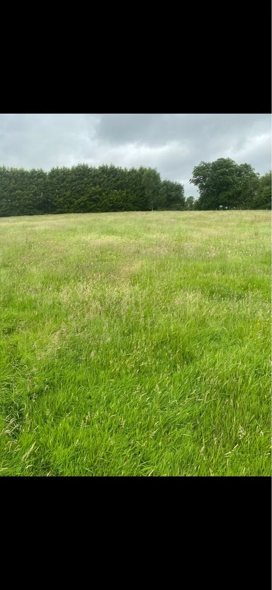 Silage bales - Image 3