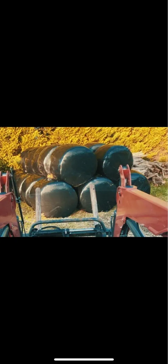 Silage bales - Image 1
