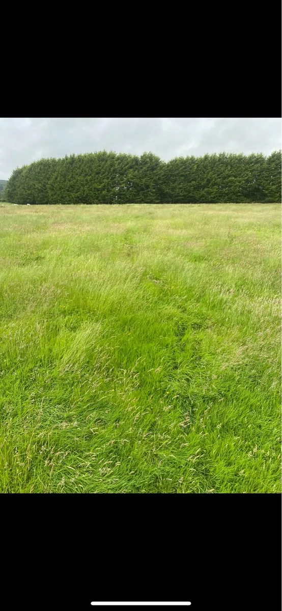 Silage bales - Image 2