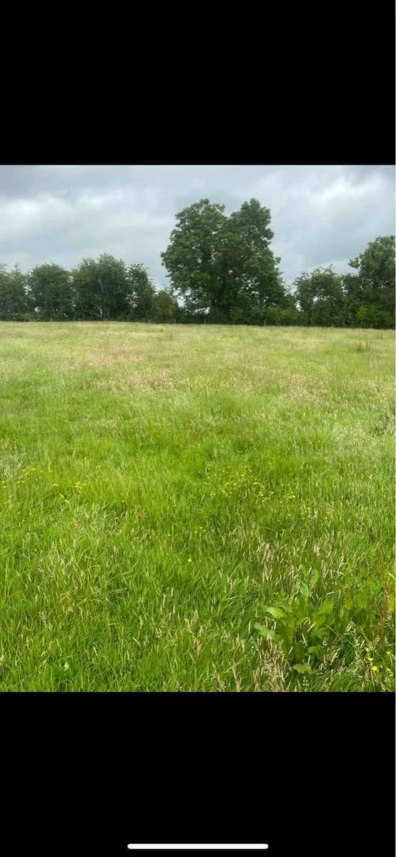 Silage bales - Image 4