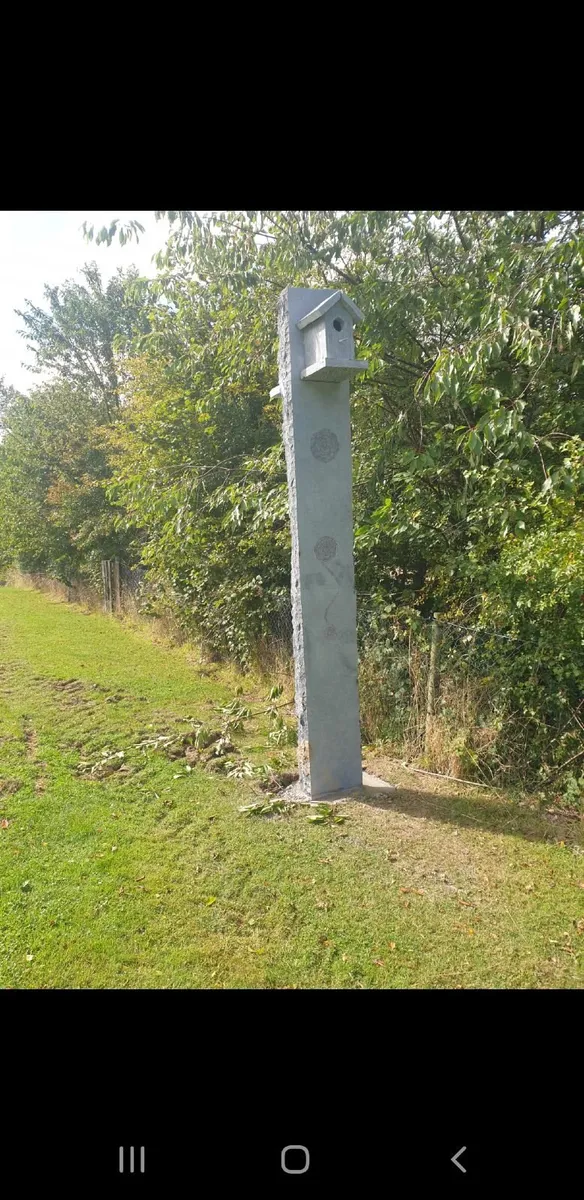 Kilkenny limestone birdhouse - Image 3