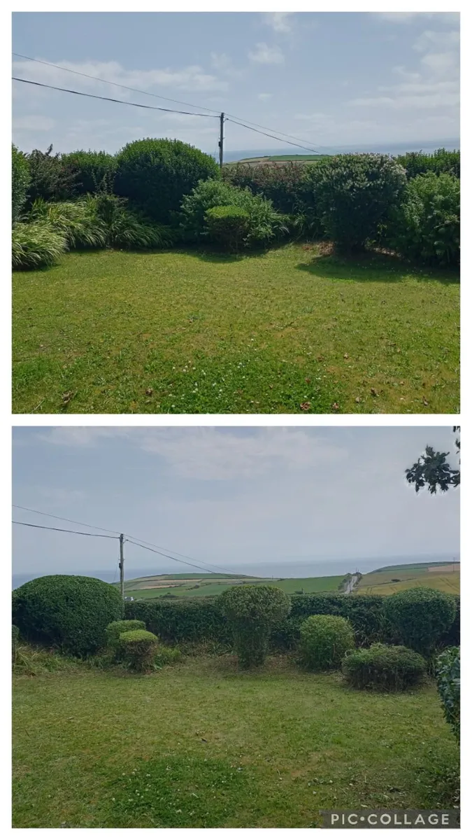 Garden Maintenance/Power Washing - Image 2