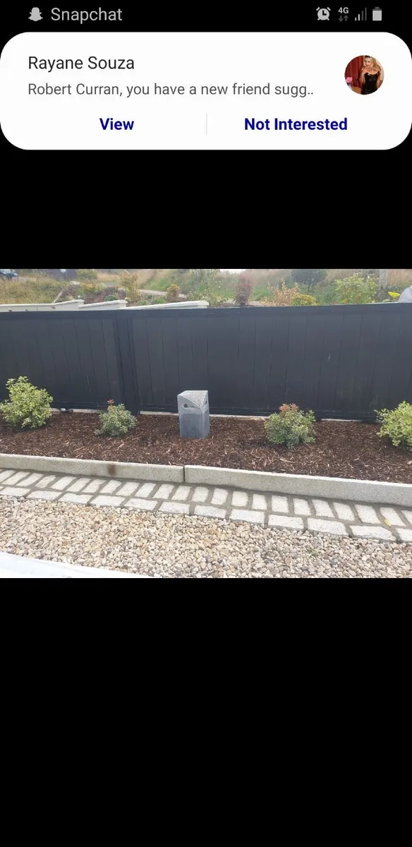 Kilkenny limestone owls - Image 1