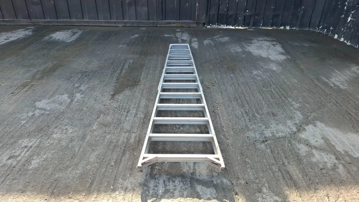 11 Tread Step Ladder - Image 2