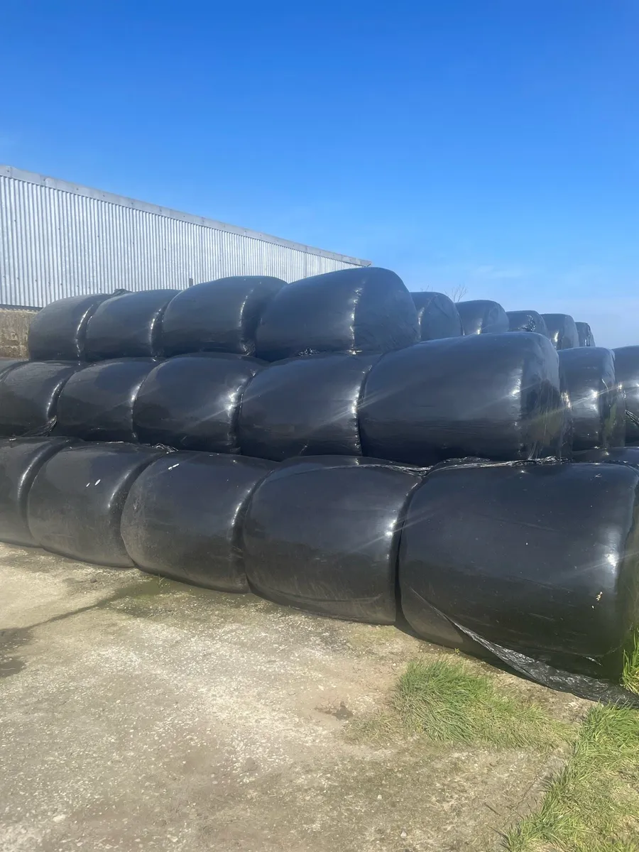 Baled silage - Image 1