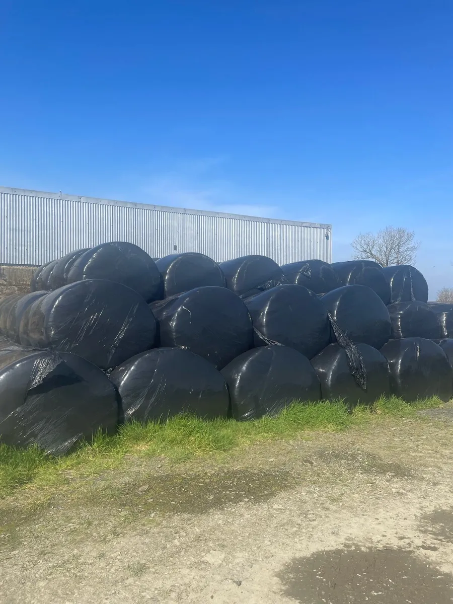 Baled silage - Image 2