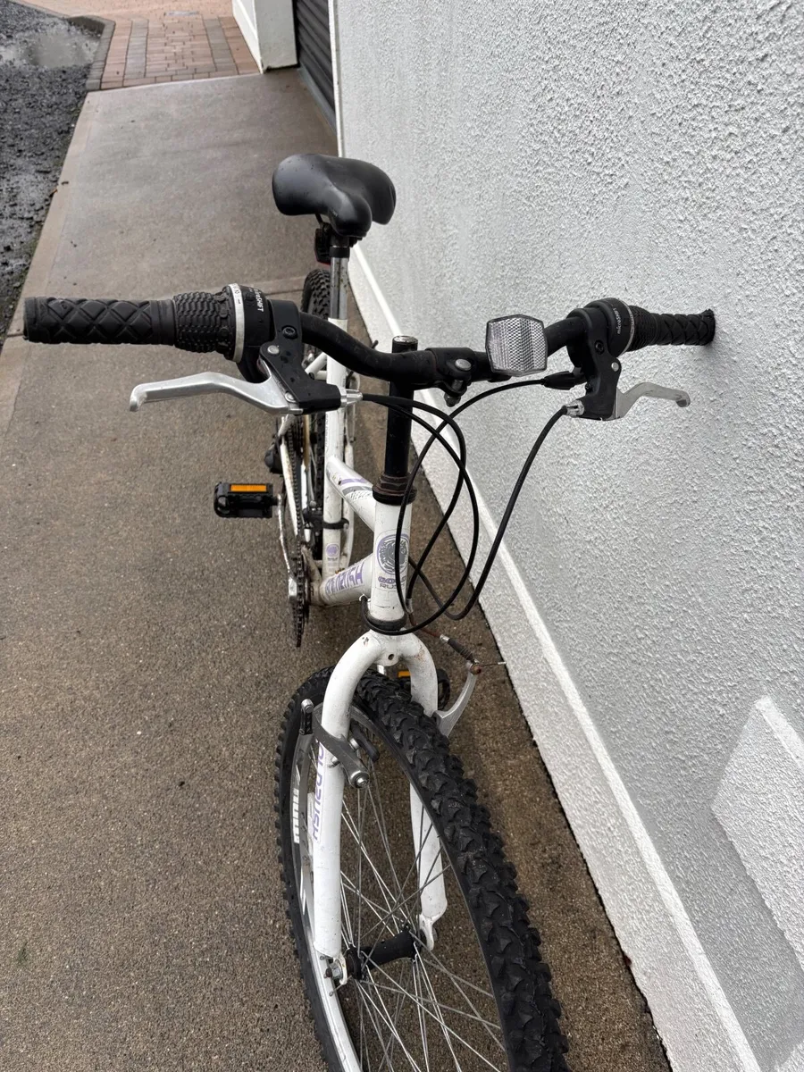 Mountain bike - Image 1