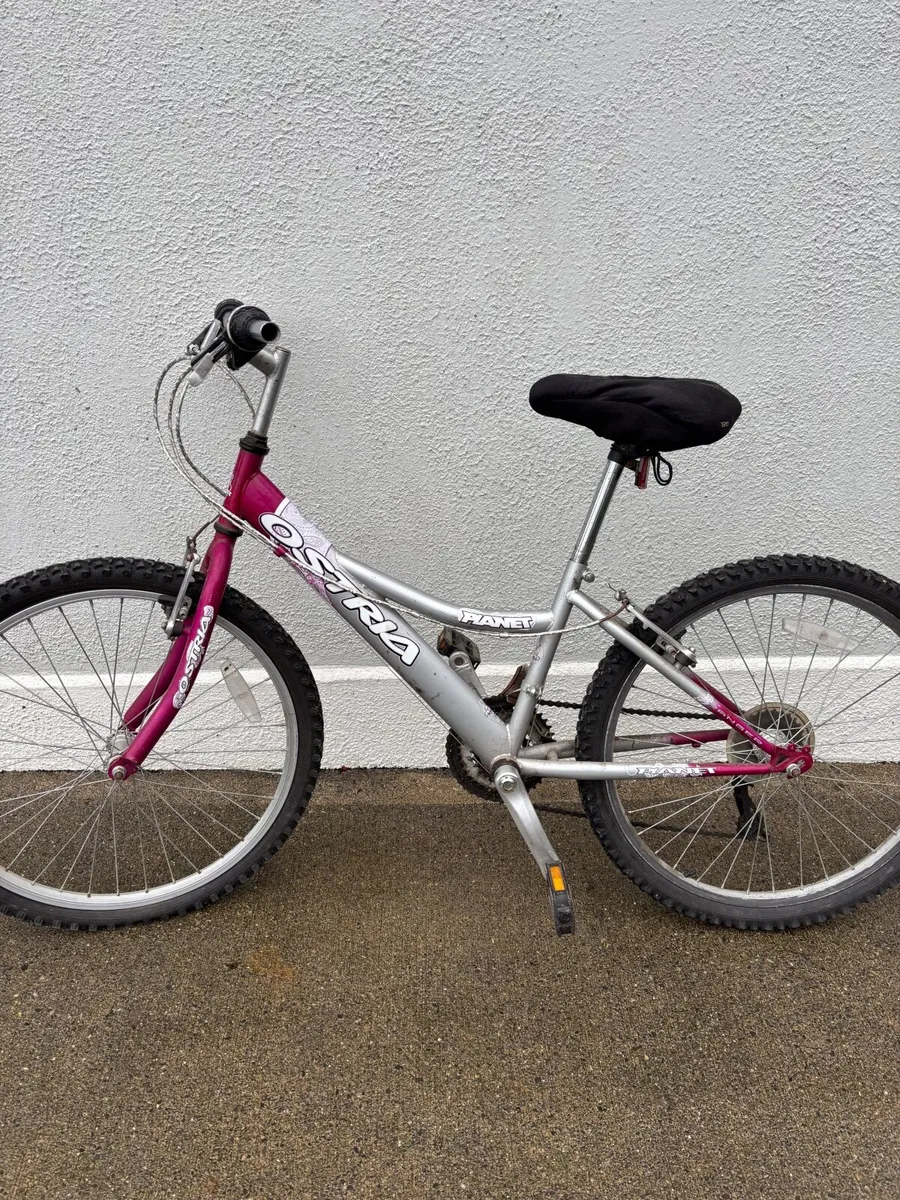 Mountain bike - Image 1